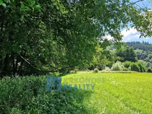 Prodej louky, Trutnov - Babí, 22776 m2
