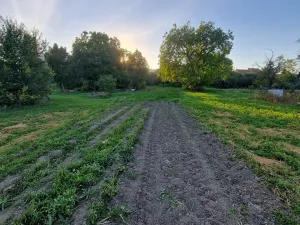 Prodej rodinného domu, Hrušovany u Brna, Palackého, 200 m2