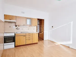 Pronájem bytu 1+1, Strakonice - Strakonice II, Luční, 37 m2
