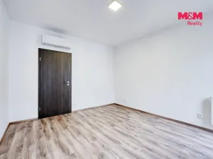 Pronájem bytu 2+kk, Plzeň - Východní Předměstí, Sladová, 54 m2