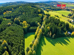 Prodej lesa, Červený Kostelec - Bohdašín, 15881 m2