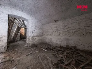 Prodej obchodního prostoru, Nová Ves - Vepřek, 600 m2