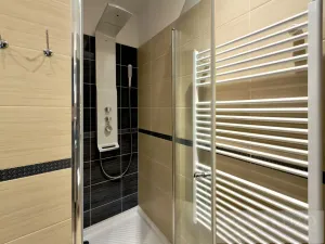 Pronájem bytu 1+kk, Plzeň, Rubešova, 25 m2