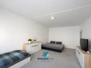 Prodej bytu 2+1, Krupka, Karla Čapka, 62 m2