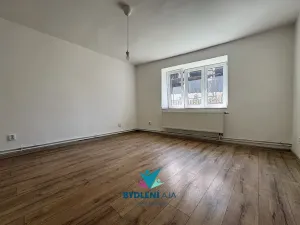 Prodej bytu 2+1, Tisá, 60 m2