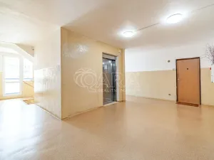 Prodej bytu 3+kk, Praha - Chodov, Vejvanovského, 61 m2