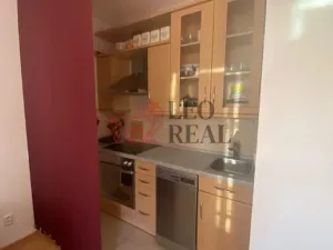 Pronájem bytu 1+kk, Brno, Otiskova, 42 m2