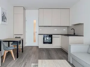 Pronájem bytu 1+kk, Praha - Karlín, Pernerova, 30 m2
