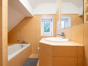 Prodej rodinného domu, Merklín, 360 m2