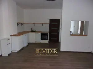 Pronájem bytu 2+kk, Novosedlice, Komenského, 54 m2
