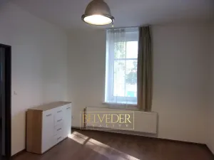 Pronájem bytu 2+kk, Novosedlice, Komenského, 54 m2