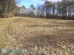 Prodej pozemku, Novosedly nad Nežárkou, 15643 m2
