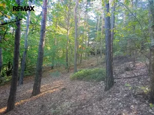 Prodej chaty, Hřivice, 15 m2