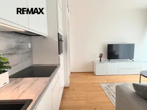 Pronájem bytu 1+kk, Praha - Smíchov, Podbělohorská, 39 m2