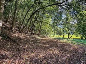 Prodej pozemku pro bydlení, Řepníky, 19850 m2