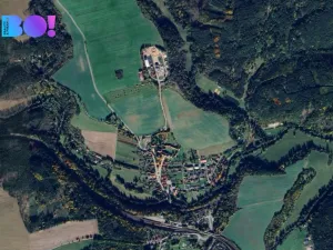 Prodej lesa, Svojšín, 1625 m2