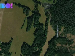Prodej pole, Přimda, 1600 m2