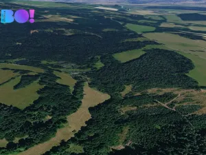 Prodej pole, Přimda, 1600 m2