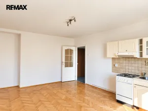Prodej bytu 1+kk, Litvínov - Horní Litvínov, Podkrušnohorská, 38 m2