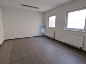 Pronájem skladu, Domažlice, Husova třída, 285 m2