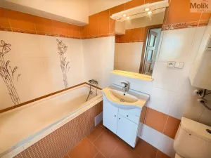 Prodej bytu 1+kk, Litvínov - Horní Litvínov, Podkrušnohorská, 33 m2