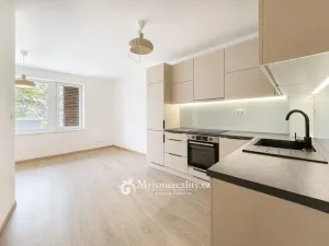 Pronájem bytu 1+1, Znojmo, Tovární, 49 m2
