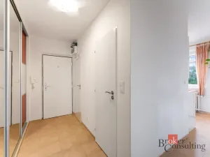 Prodej bytu 2+1, Praha - Vokovice, Africká, 48 m2