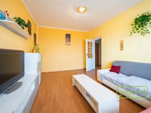 Prodej bytu 2+1, Habartov, Karla Čapka, 52 m2