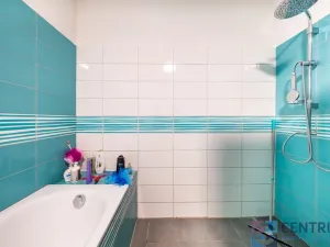 Prodej vícegeneračního domu, Veselá, 265 m2