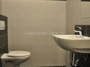 Pronájem bytu 1+kk, České Budějovice - České Budějovice 2, Volejbalistů, 30 m2