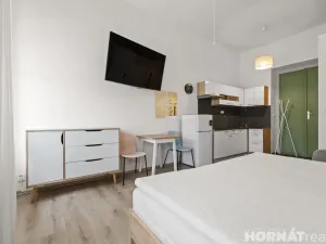 Pronájem bytu 1+kk, Praha - Smíchov, Nádražní, 28 m2