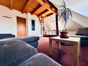 Pronájem bytu 1+kk, Cheb, Májová, 45 m2