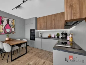 Prodej bytu 2+kk, Plzeň - Jižní Předměstí, U Borského parku, 56 m2