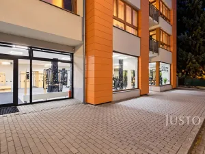 Prodej obchodního prostoru, Písek - Pražské Předměstí, V Portyči, 229 m2