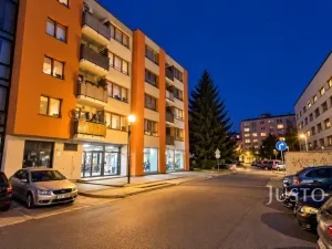 Prodej obchodního prostoru, Písek - Pražské Předměstí, V Portyči, 229 m2