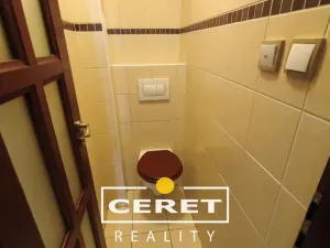 Prodej bytu 3+1, Žatec, Purkyněho, 120 m2