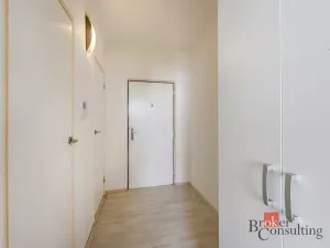 Prodej bytu 1+1, Plzeň - Bolevec, Žlutická, 39 m2