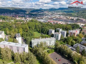Prodej bytu 2+1, Děčín - Děčín VI-Letná, Školní, 63 m2