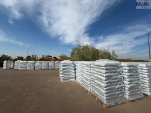 Pronájem skladu, Malé Březno, 900 m2