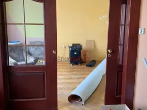 Prodej podílu rodinného domu, Doudleby nad Orlicí, Školní, 120 m2