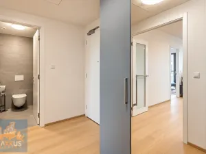 Pronájem bytu 2+kk, Praha - Holešovice, Jankovcova, 60 m2