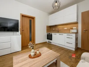 Pronájem bytu 1+1, Plzeň - Jižní Předměstí, Adelova, 36 m2