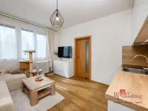 Pronájem bytu 1+1, Plzeň - Jižní Předměstí, Adelova, 36 m2
