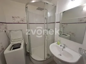 Pronájem bytu 1+1, Zlín, U Trojáku, 35 m2