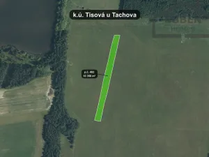 Prodej pole, Tisová, 32293 m2