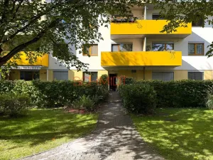 Pronájem bytu 2+kk, Brno - Žabovřesky, Sochorova, 53 m2