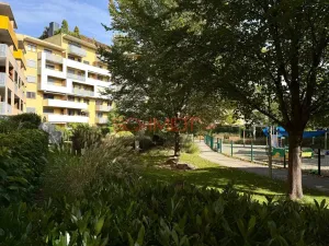 Pronájem bytu 2+kk, Brno - Žabovřesky, Sochorova, 53 m2