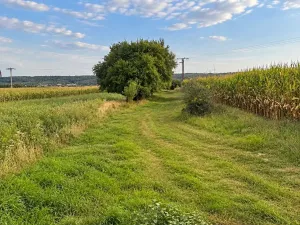Prodej pozemku pro bydlení, Bílé Podolí - Zaříčany, 915 m2