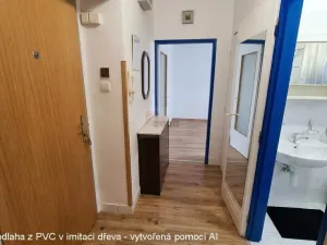 Pronájem bytu 1+1, Praha - Žižkov, Pod lipami, 34 m2