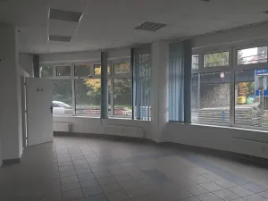 Pronájem obchodního prostoru, Děčín, Příbramská, 95 m2